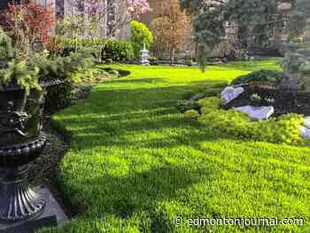 Growing Things: What's that white stuff on my lawn?