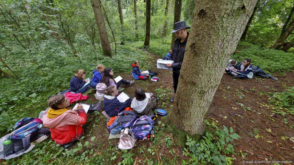 Unterricht im Freien: Wie Lehrkräfte aus heißen Schultagen das Beste machen