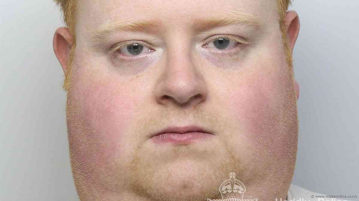 Family fear driver who ran over and killed dad-of-two could be freed early
