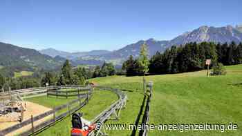 Nervenkitzel auf der Sommerrodelbahn – Ausflug-Inspirationen für Ihren Sommer in Bayern
