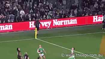Edwards, Jenkins shine for Panthers after Walker’s brain snap costs Souths