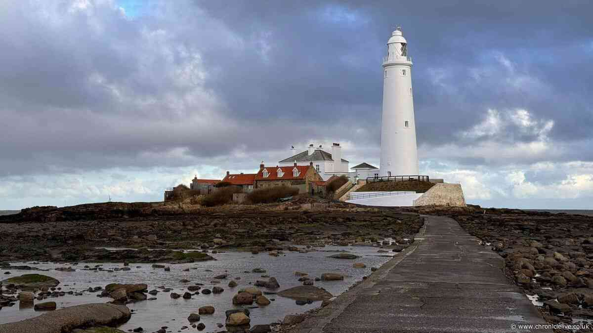 Young people urged to share views on draft plans which could change the face of North Tyneside