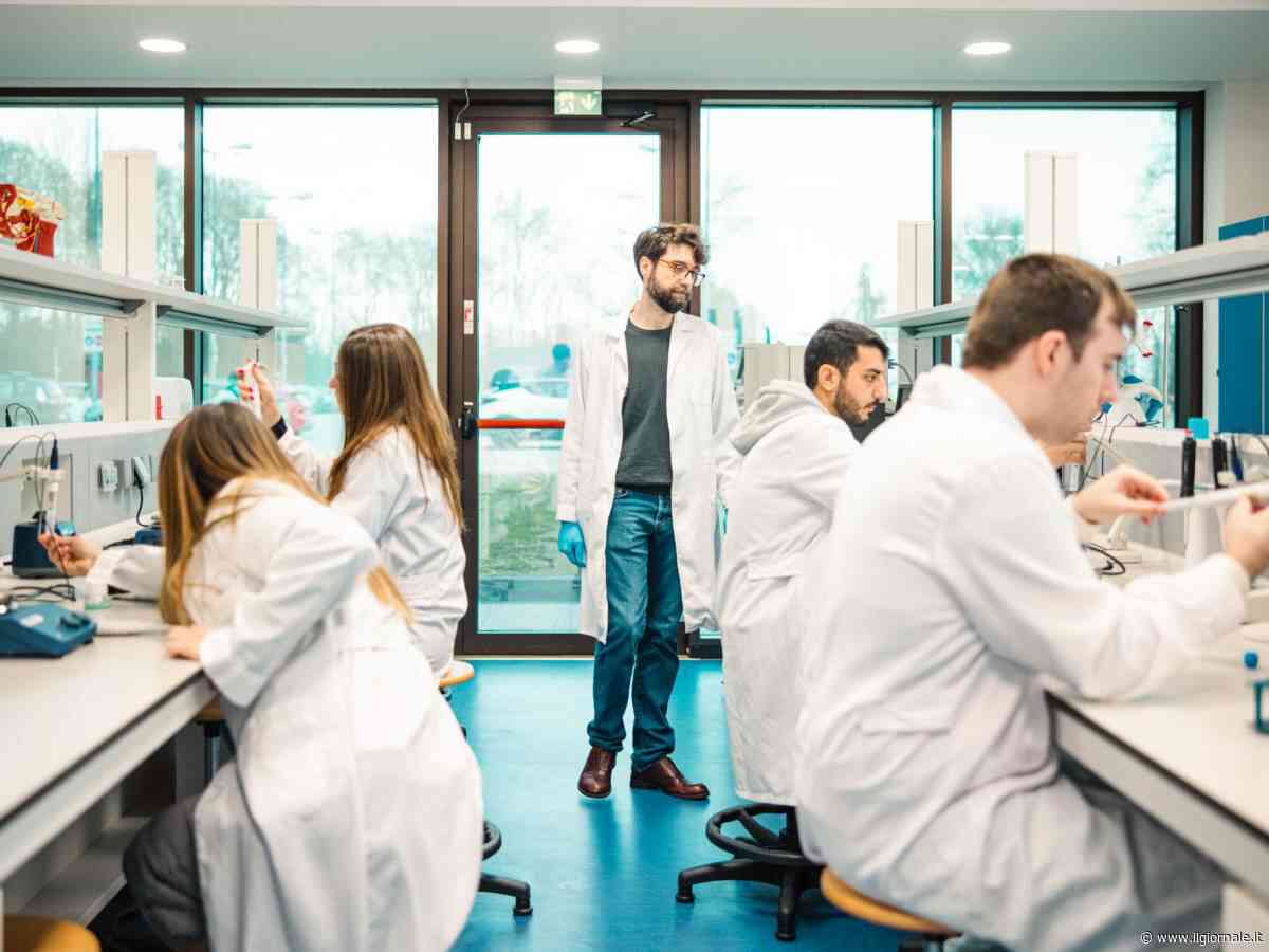 Università Link, a pochi chilometri da Milano un polo d'eccellenza per la formazione medica: Medicina e Osteopatia al centro del progetto