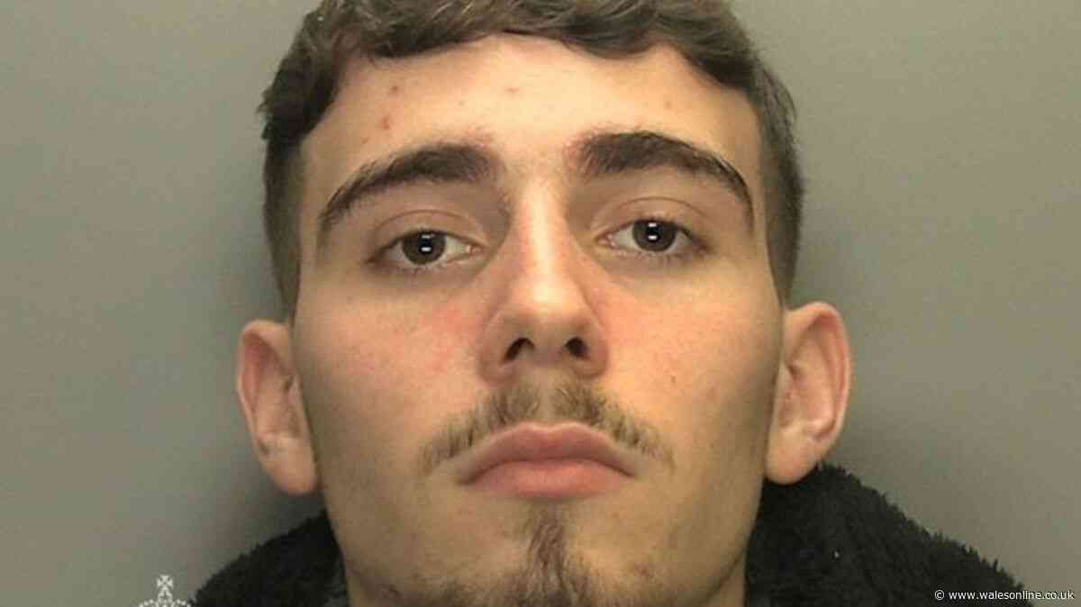 Teen murderer who mowed down and killed 'beautiful' mum-of-three sentenced