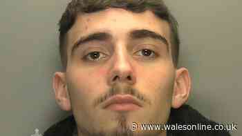 Teen murderer who mowed down and killed 'beautiful' mum-of-three sentenced