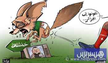 إقصاء "الثعالب"