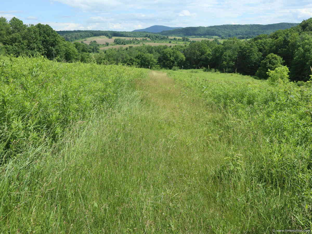 Terns: Walking with history at the Bennington Battlefield site in Walloomsac