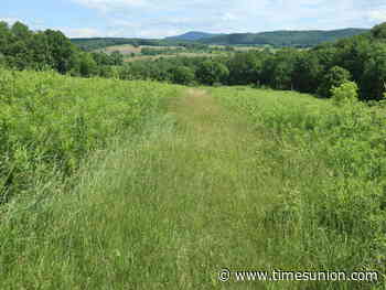 Terns: Walking with history at the Bennington Battlefield site in Walloomsac