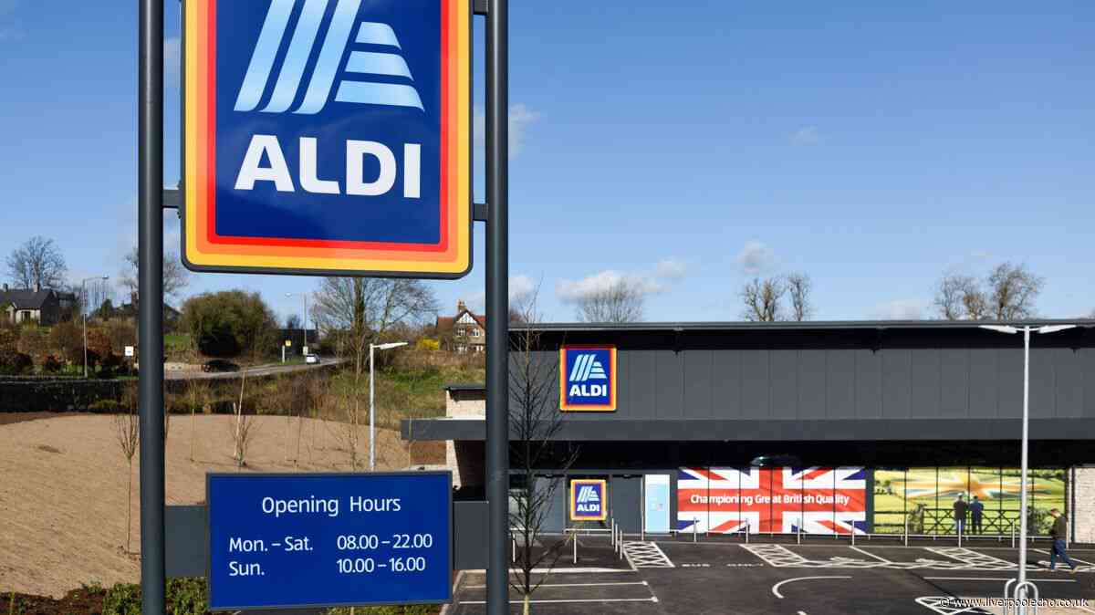 Aldi's 'chic' £5 outdoor lights 'transform gardens' for summer