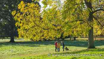 50-day ‘summer of play’ event given go-ahead at popular National Trust estate