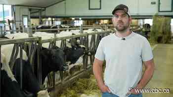 Farmer feels lucky to be alive after semi rear-ended his tractor at high speed