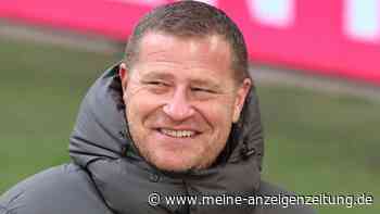 Wackelkandidat beim FC Bayern? Besondere Ehre für Max Eberl