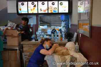 ‘One positive thing in all the bad’: Venezuelan earthquake survivors reunite with missing pets at McDonald’s