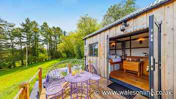 Summer prices cut on 'stunning' Brecon holiday cabin amid sheep and mountains