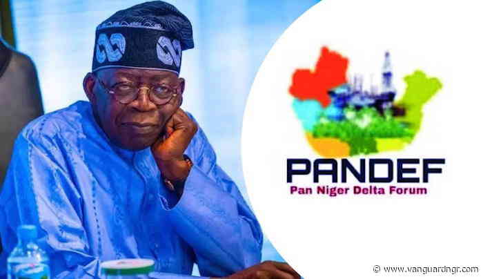 South-South deserves greater Infrastructural development, PANDEF tells Tinubu