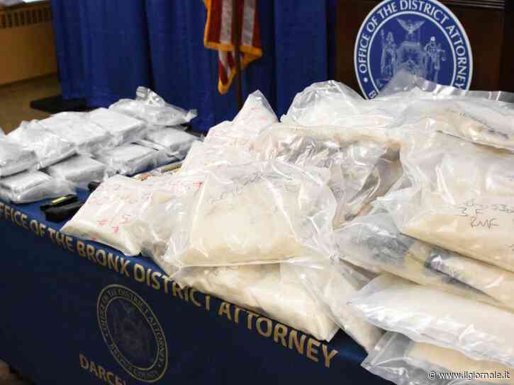 Fentanyl rubato a Roma, l’allarme del governo: "Con 80 fiale fino a 20mila dosi"