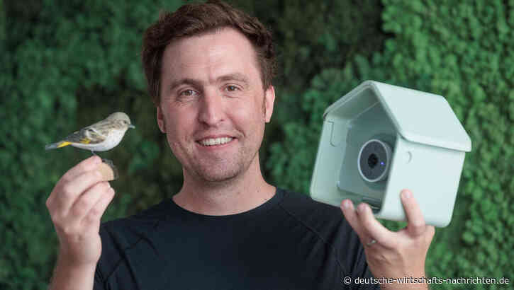 Vogelhaus mit Kamera: Wie Bird Buddy an Amerikaner vier Mal so teuer verkauft wie an Chinesen