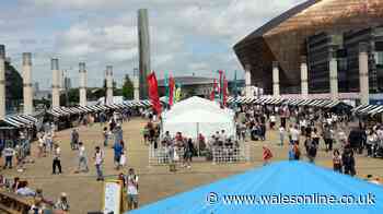 Huge free-to-enter food festival in Cardiff this weekend has hundreds of things to eat and drink
