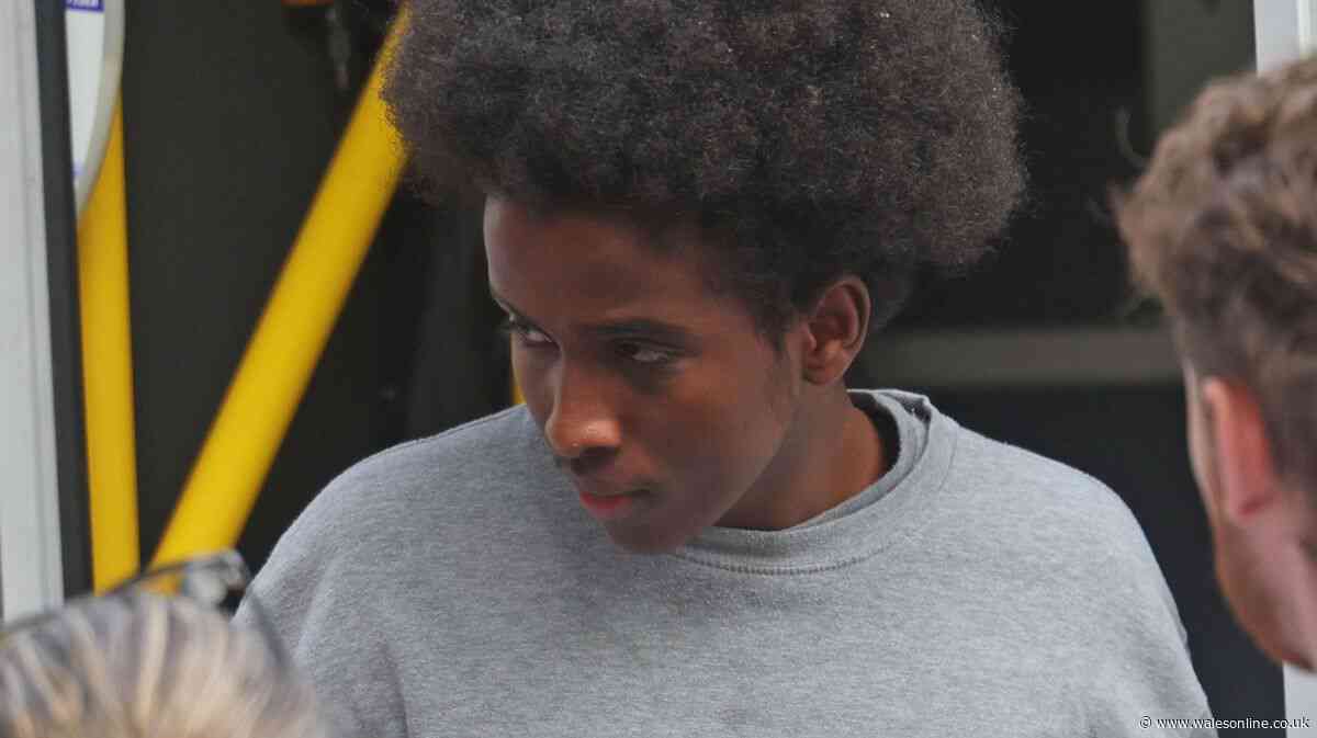 First picture of teen accused of Barry Island stabbing that led to boy needing his leg amputated