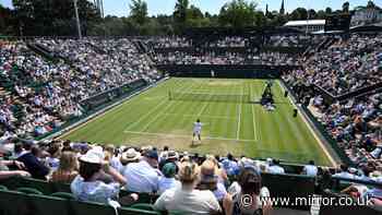 Wimbledon star's wife in a flood of tears as he breaks down on court
