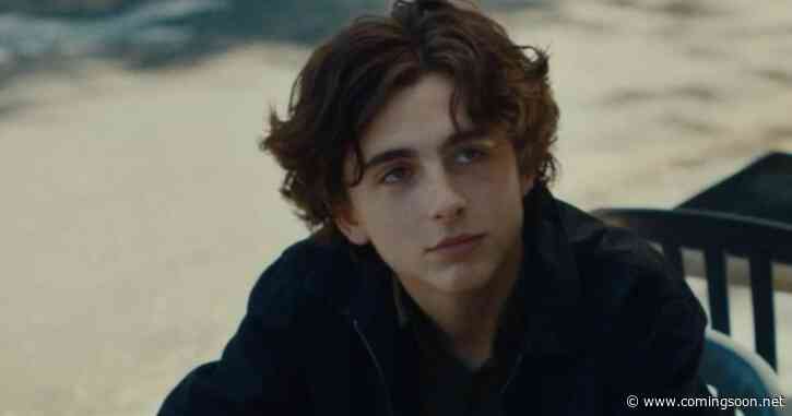 Timothée Chalamet Movie With 99% RT Score Joins Hulu Today