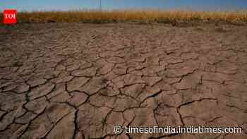 WMO warns rapid development of El Nino during July-Sept; government reviews the situation of rainfall deficit