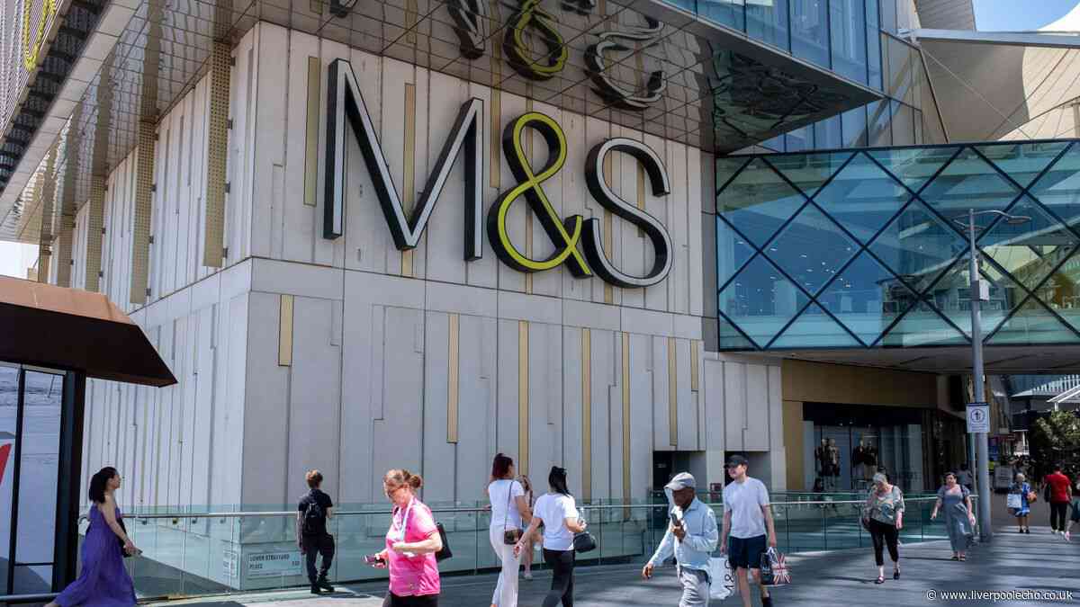'It looks designer' - M&S £16 accessory 'goes with everything'