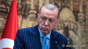 Turkish comedian sent to jail to await trial on charges of insulting Erdogan