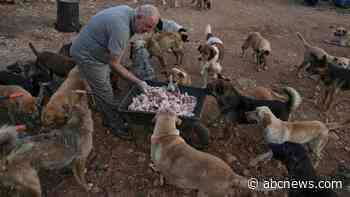 An animal rescuer cares for pets and livestock stranded by war in southern Lebanon
