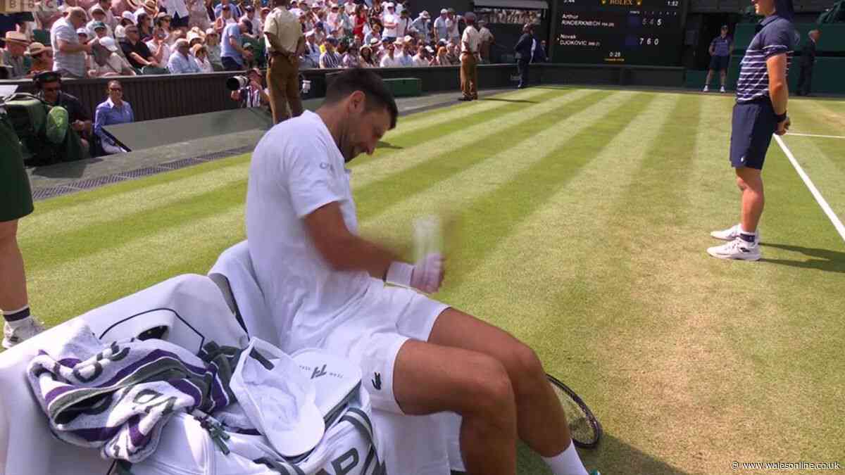 Novak Djokovic punches himself 11 times in Wimbledon breakdown and BBC apologise