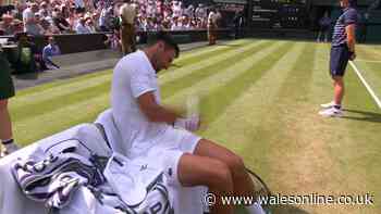 Novak Djokovic punches himself 11 times in Wimbledon breakdown and BBC apologise