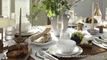 'Classy' Dusk Champagne glasses perfect for prosecco in the garden now less than £5
