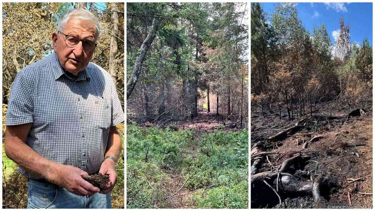 Selbstentzündung oder doch Brandstiftung? Nach Moorbrand bei Übersee beginnt die Spurensuche