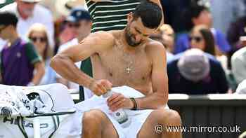 Angry Novak Djokovic punches himself 11 times in huge Wimbledon tantrum