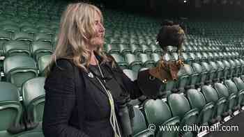 After line judges are axed in favour of AI, could Wimbledon eventually replace Rufus the hawk with AI drones?