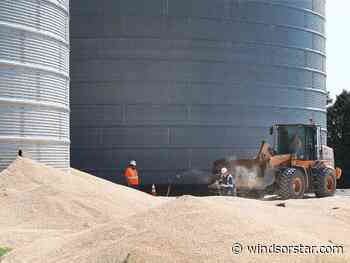 Crews cut open Lakeshore grain silo to rescue trapped worker