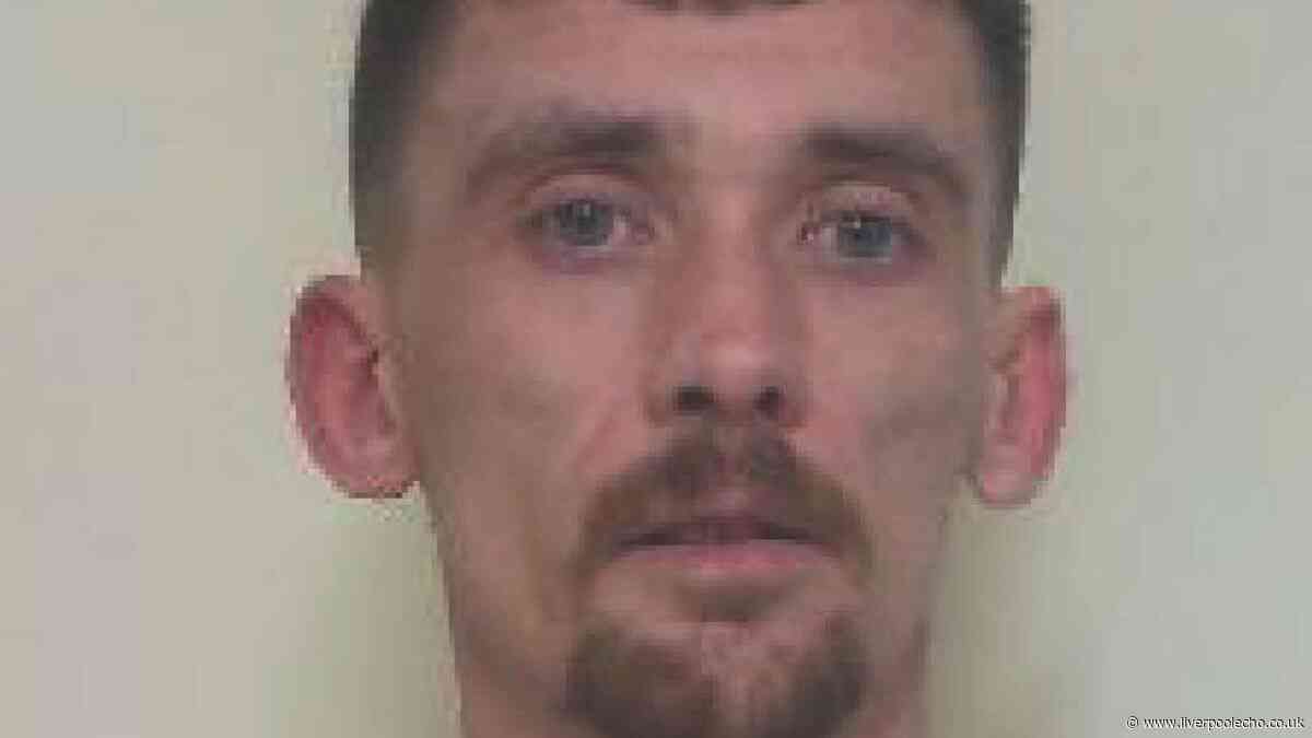 Brothers stole over £71,000 worth of Pokémon cards