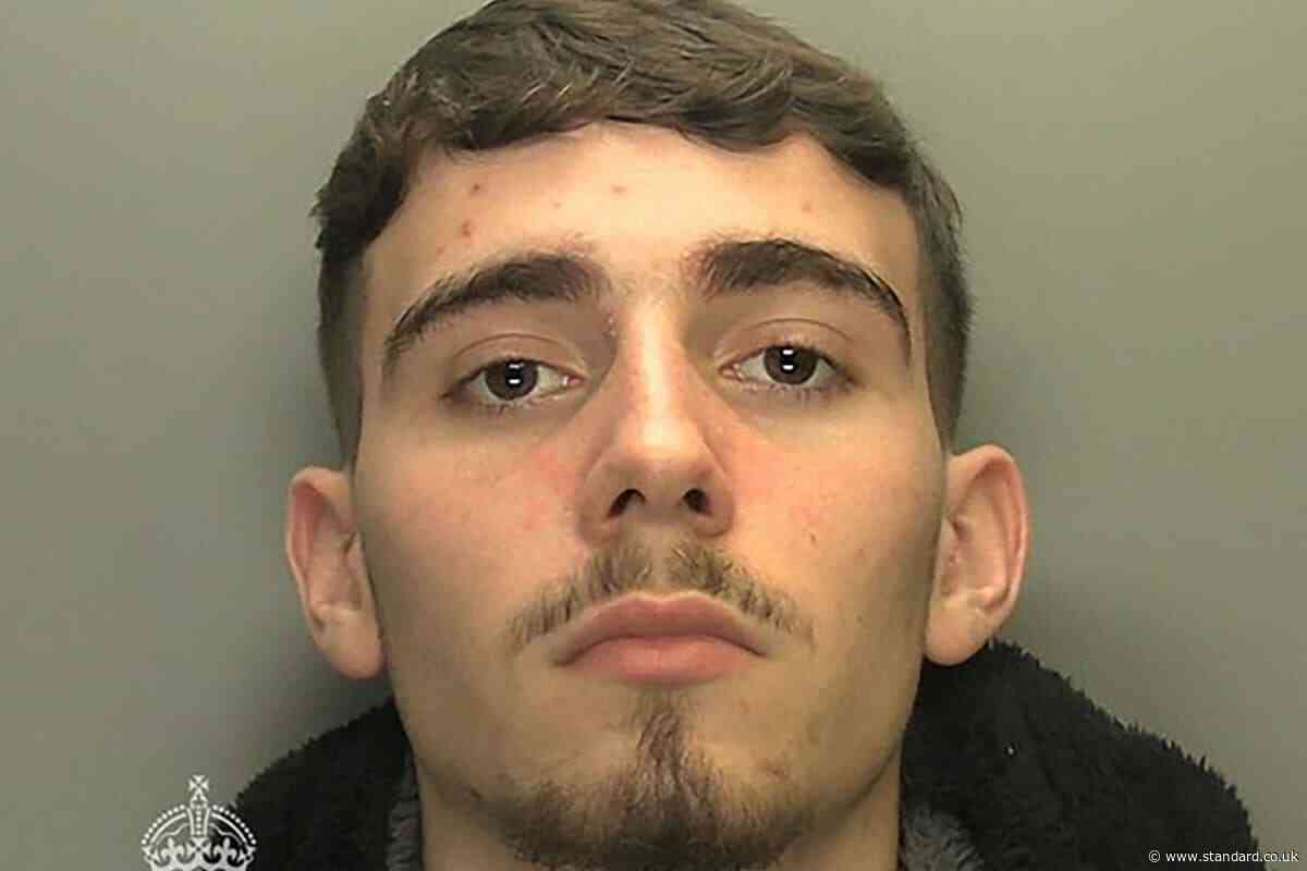 Teenager jailed for murdering mother-of-three by running her over with car