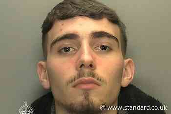 Teenager jailed for murdering mother-of-three by running her over with car