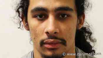 Man who shot dead 15-year-old boy in Teletubbies Park before Notting Hill Carnival is jailed for 35 years