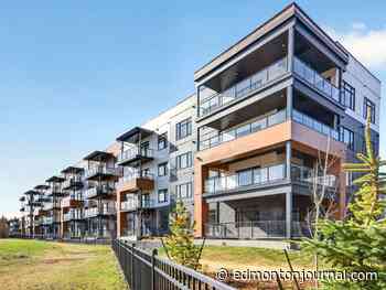 Sought after: Emerge and Evolve are down to final homes