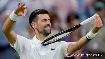 Novak Djokovic's behaviour at Wimbledon called out as BBC star says he 'went too far'