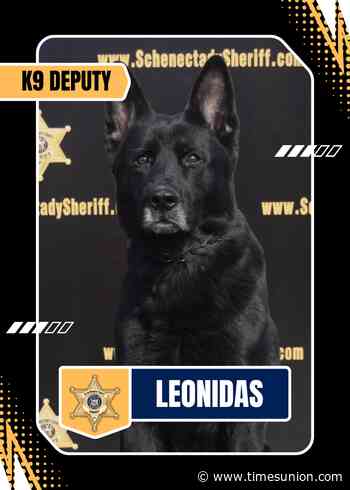 Schenectady County Sheriff's K-9 dies from heat exhaustion in patrol car