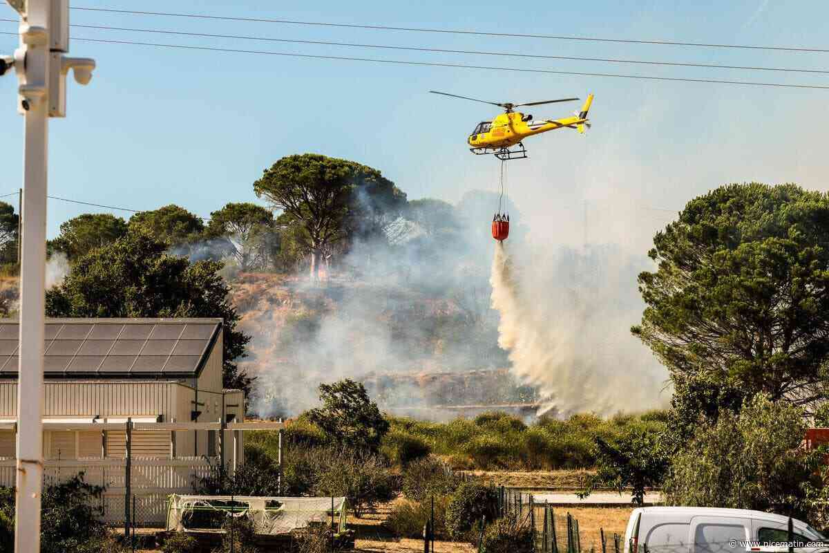 Alors qu’elle a débuté avec près d’un mois d’avance, les sapeurs-pompiers redoutent une saison des feux « extrêmement longue » cet été