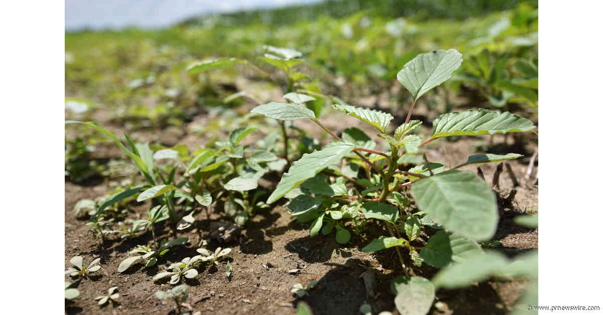WSSA Applauds EPA's Advancement of Six New Herbicides