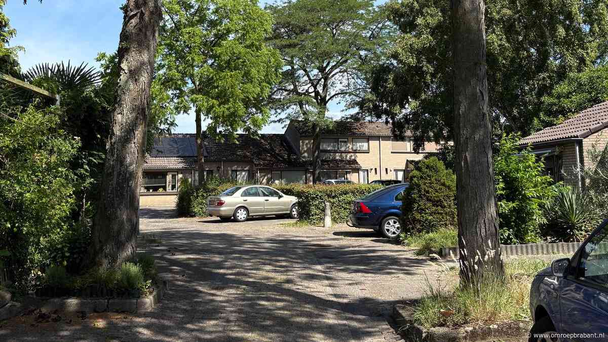 De Bauers terug op tv en vrees voor omvallende bomen: dit gebeurde vandaag
