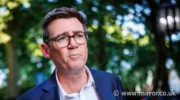 PM-in-waiting Andy Burnham rules out calling early general election