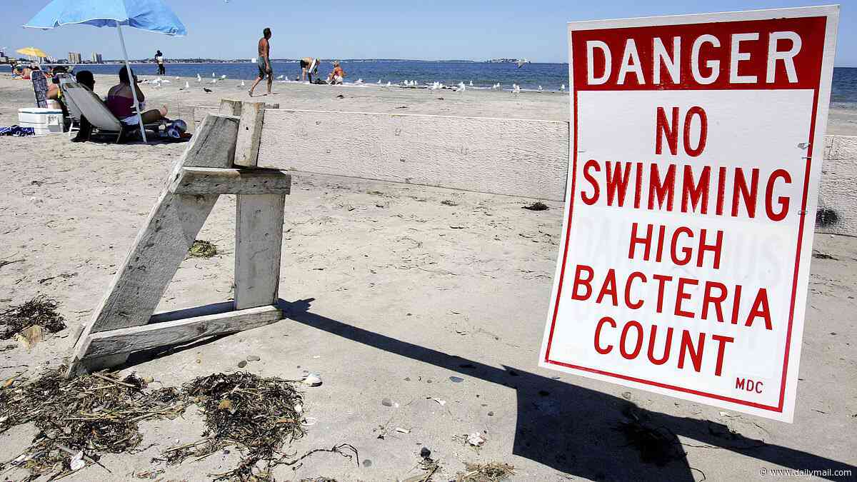 Fecal contamination at East Coast beaches triggers 'do not swim' warnings for July 4th weekend