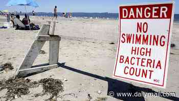 Fecal contamination at East Coast beaches triggers 'do not swim' warnings for July 4th weekend