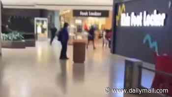 Active shooter reported in Dearborn mall, as terrifying video shows shots ring out by shops in Detroit suburb